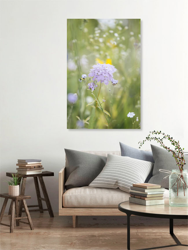 Sommerblumenwiese mit Wildblumen, Deutschland – Fotokunst von Nadja Jacke als Poster oder Acrylglasbild