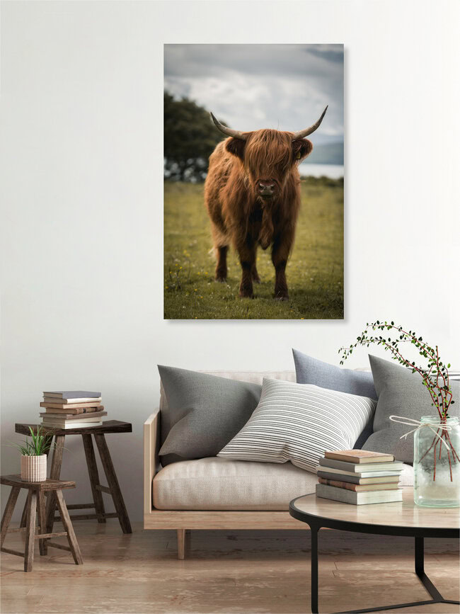 Scotland Cattle 2, (country) – wall art by Tiago Sales as Poster or Acrylic Glass Print