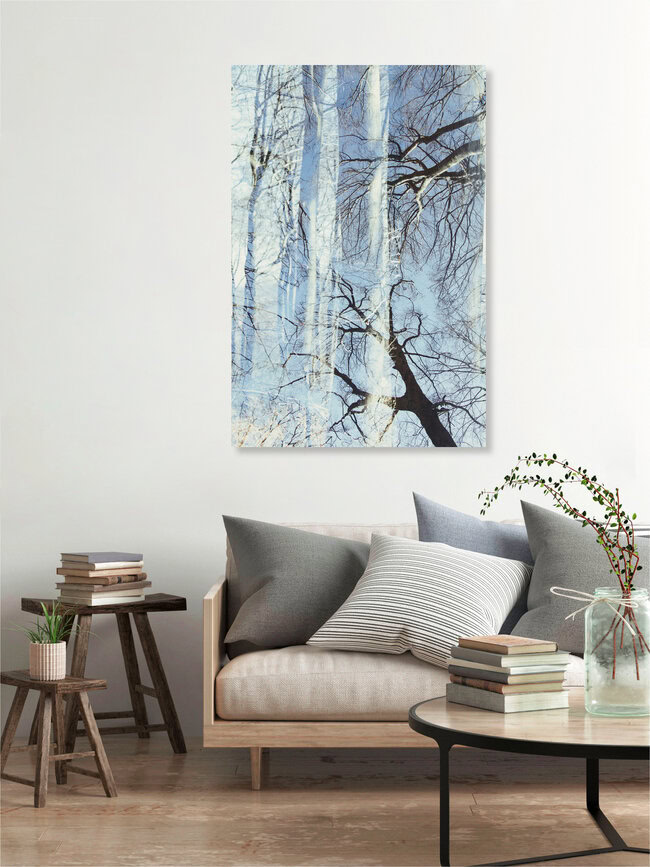 Kahler Buchenwald vor wolkenlosem Himmel, Deutschland – Fotokunst von Nadja Jacke als Poster oder Acrylglasbild