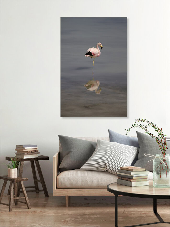 James-Flamingo, Bolivien – Fotokunst von Dirk Heckmann als Poster oder Acrylglasbild