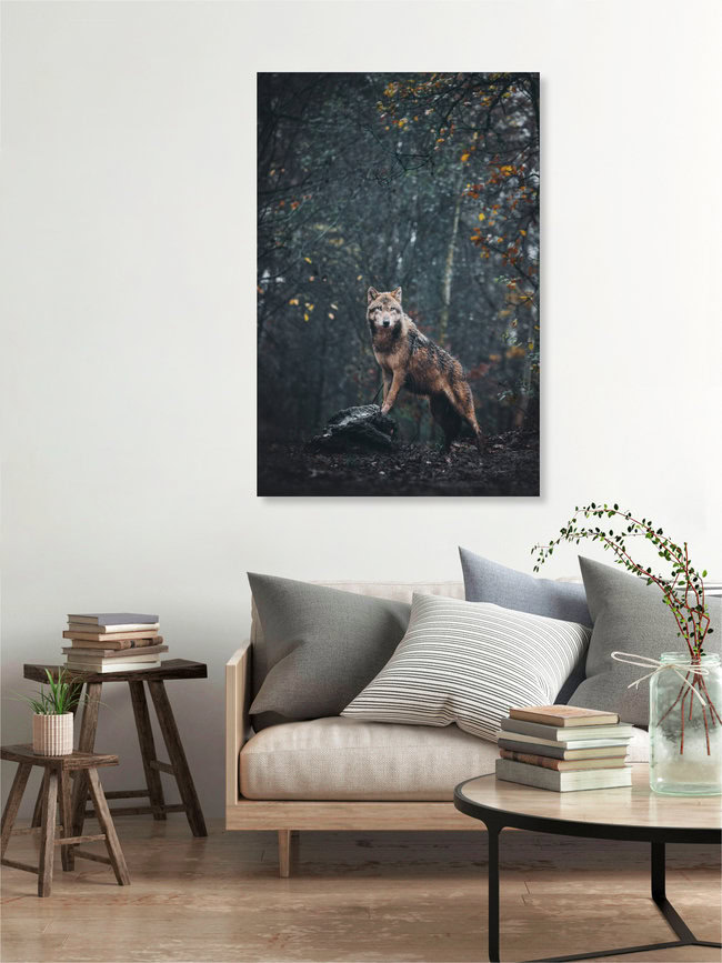 Anführer, Deutschland – Fotokunst von Patrick Monatsberger als Poster oder Acrylglasbild