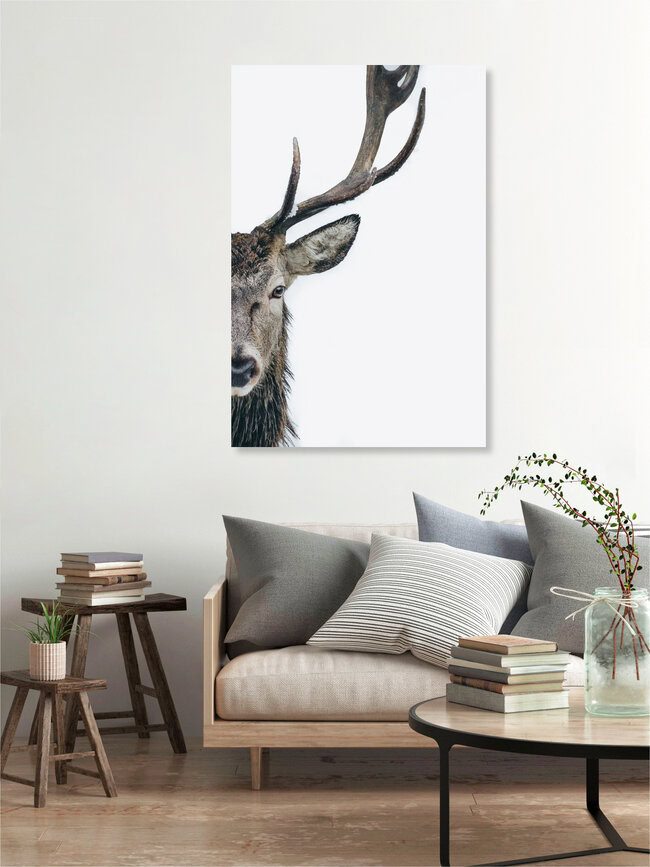 Look Me In The Eyes, Deutschland – Fotokunst von Patrick Monatsberger als Poster oder Acrylglasbild