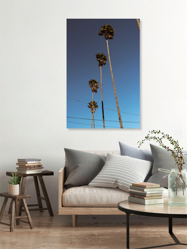Everything is better with Palm Trees, United States – wall art by Ari Stippa as Poster or Acrylic Glass Print