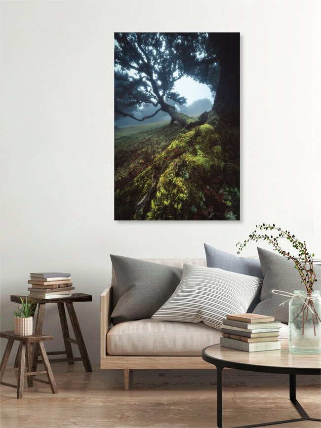 Madeira Fanal Nebelwald, Portugal – Fotokunst von Jean Claude Castor als Poster oder Acrylglasbild