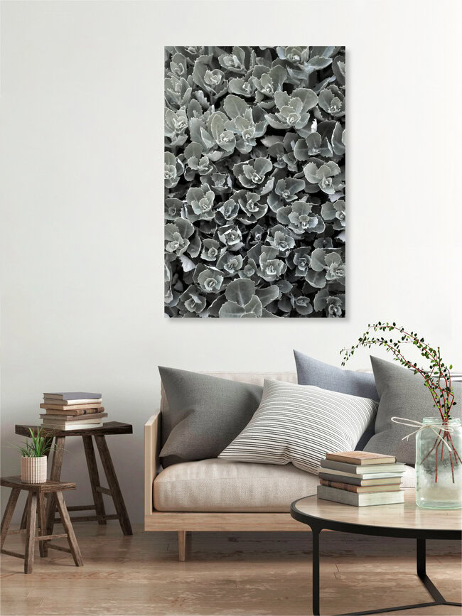 Spot the Drop, Germany – wall art by Studio Na.hili as Poster or Acrylic Glass Print