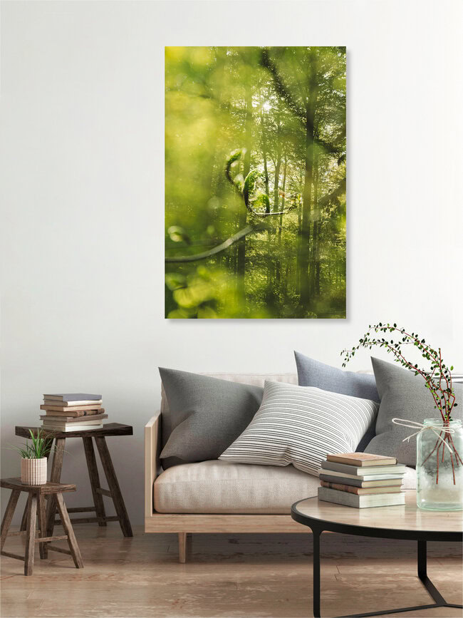 Frühling im Teutoburger Wald, Deutschland – Fotokunst von Nadja Jacke als Poster oder Acrylglasbild