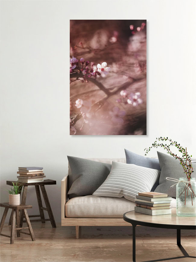 Kirschblüten in der Frühlingssonne, Deutschland – Fotokunst von Nadja Jacke als Poster oder Acrylglasbild