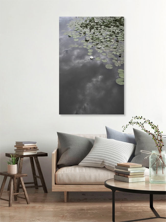 Water Lily Heaven, Germany – wall art by Studio Na.hili as Poster or Acrylic Glass Print
