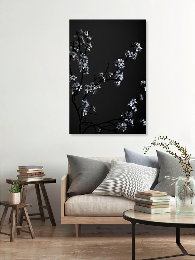 Moody Flower Beauty, Deutschland – Fotokunst von Studio Na.hili als Poster oder Acrylglasbild
