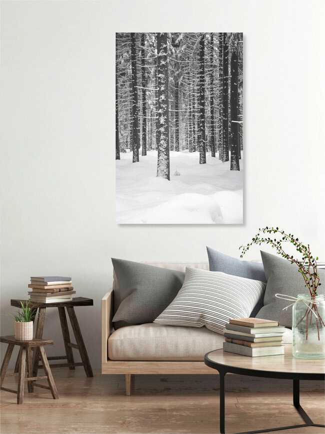 Deep Dark White Forest, Czech Republic – wall art by Studio Na.hili as Poster or Acrylic Glass Print