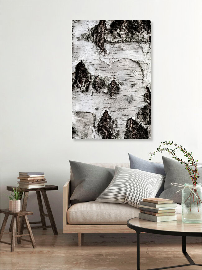 Birch Tree 2, Deutschland – Fotokunst von Mareike Böhmer als Poster oder Acrylglasbild