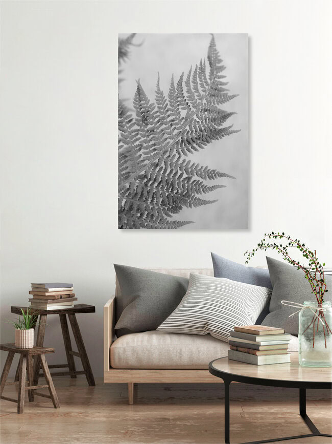 Farn, Island – Fotokunst von Sandra Fritz als Poster oder Acrylglasbild