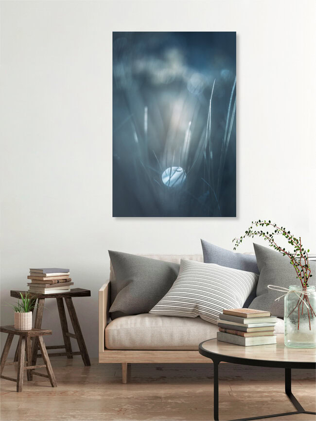 Silver Blades, Germany – wall art by Sebastian Worm as Poster or Acrylic Glass Print