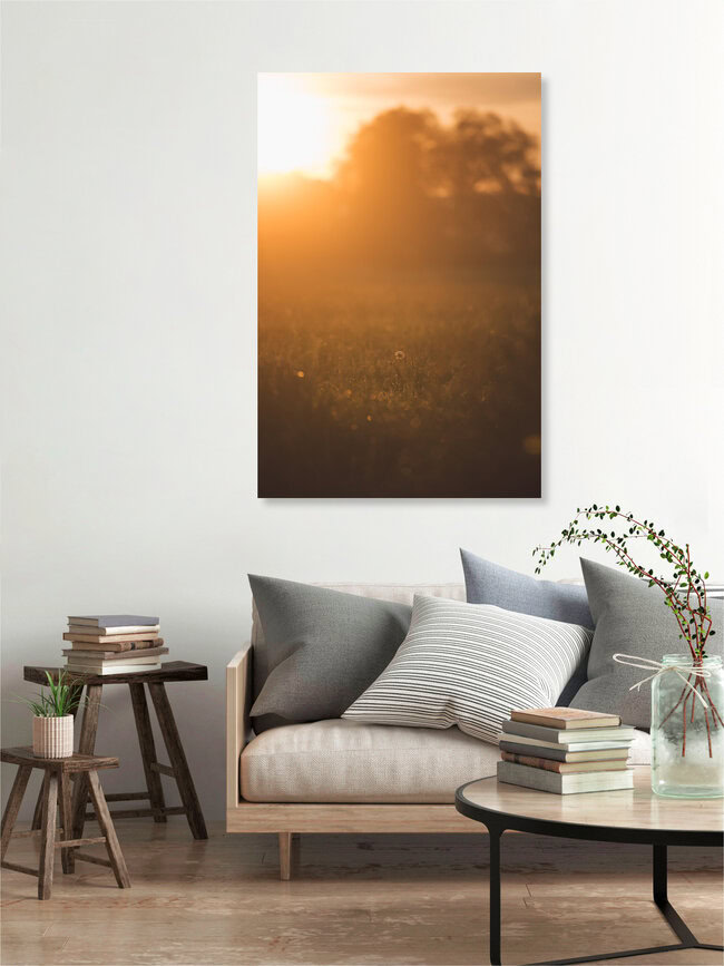 baum, abendrot, himmel, silhouette, landschaft, sonnenaufgang, sonne, natur, cloud, orange, rot, winter, abenddämmerung, abend, feld, dawn, horizont, land, schönheit, schön, blau, farbe, ast, Germany – wall art by Robert Hagstotz as Poster or Acrylic Glass Print