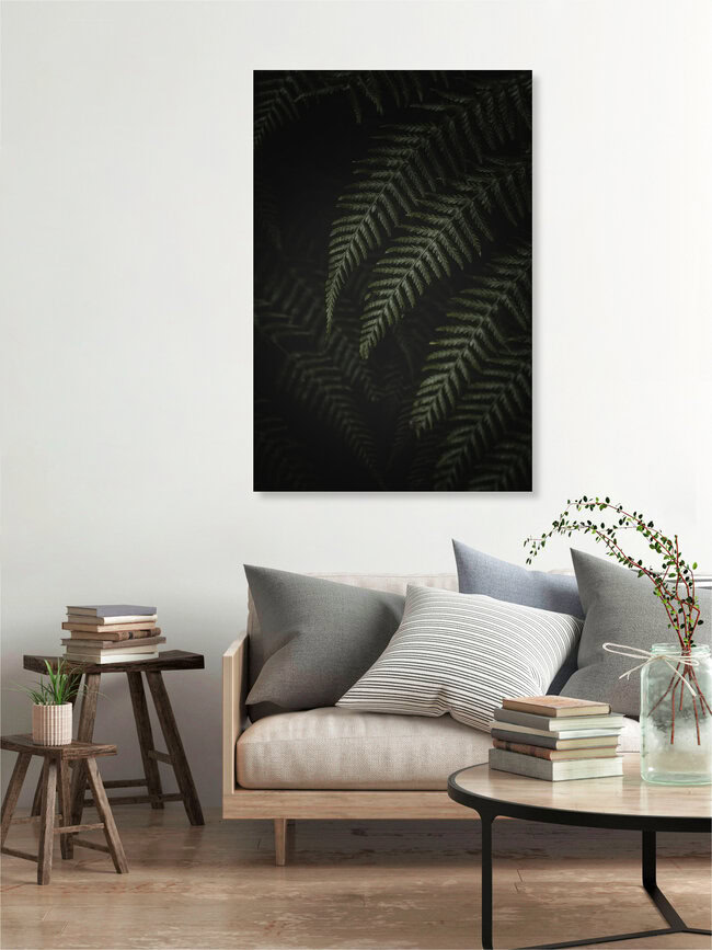 Farn im Dunkeln, Portugal – Fotokunst von Laura Zimmermann als Poster oder Acrylglasbild