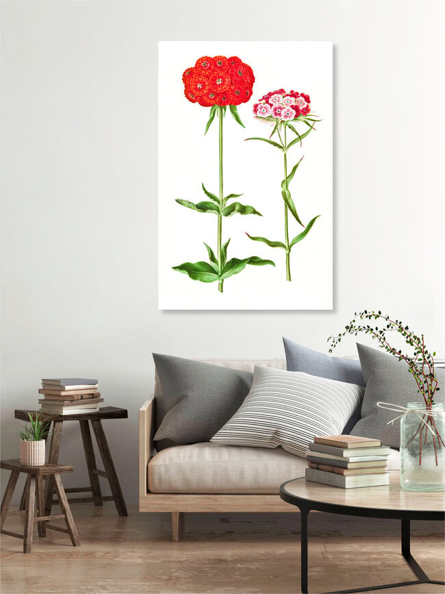 Wandbild 'Vintage Illustration Blumen' – Kunst von Vintage Nature Graphics als Poster oder Acrylglasbild