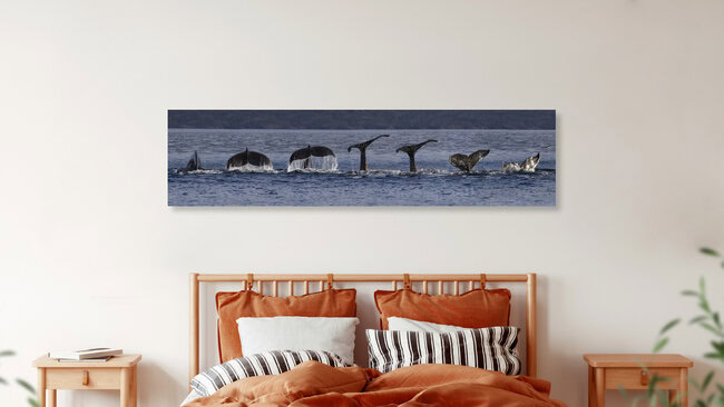 Abtauchender Buckelwal, Chile – Fotokunst von Dirk Heckmann als Poster oder Acrylglasbild