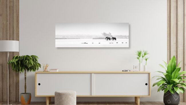Elephants crossing the mighty Zambezi, Zambia – wall art by Dennis Wehrmann as Poster or Acrylic Glass Print