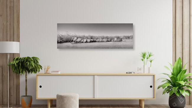 futureforelephants, Sambia – Fotokunst von Dennis Wehrmann als Poster oder Acrylglasbild