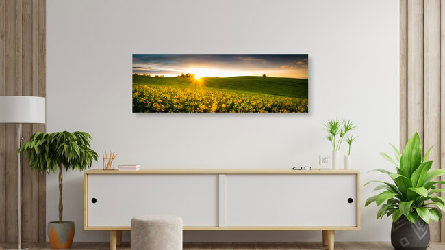 Rapsfeld im Sonnenuntergang, Deutschland – Fotokunst von Martin Wasilewski als Poster oder Acrylglasbild