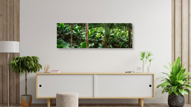 Tropischer Regenwald, Brasilien – Fotokunst von Jan Becke als Poster oder Acrylglasbild