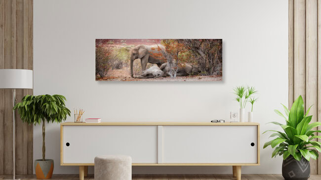 Schlafende Elefanten in der Wüste, Deutschland – Fotokunst von Dennis Wehrmann als Poster oder Acrylglasbild