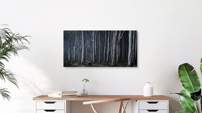 Küstenwald VI, Deutschland – Fotokunst von Heiko Gerlicher als Poster oder Acrylglasbild