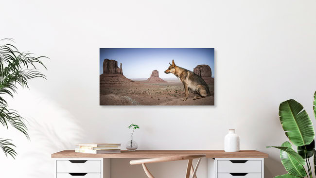 THE WATCHDOG, Vereinigte Staaten – Fotokunst von Andreas Adams als Poster oder Acrylglasbild