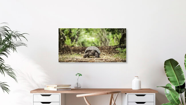 WALK OF LIFE, Ecuador – Fotokunst von Andreas Adams als Poster oder Acrylglasbild