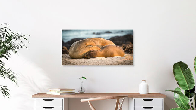 LOVE, Ecuador – Fotokunst von Andreas Adams als Poster oder Acrylglasbild