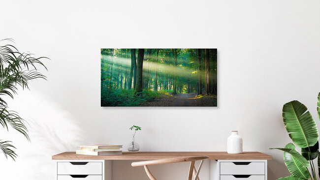 Forest Path in the Light, Germany – wall art by Martin Wasilewski as Poster or Acrylic Glass Print
