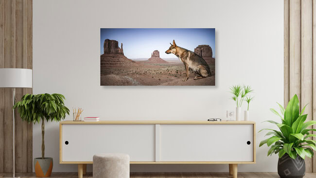 THE WATCHDOG, Vereinigte Staaten – Fotokunst von Andreas Adams als Poster oder Acrylglasbild