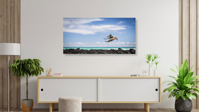 PELICAN AIRWAYS, Ecuador – Fotokunst von Andreas Adams als Poster oder Acrylglasbild