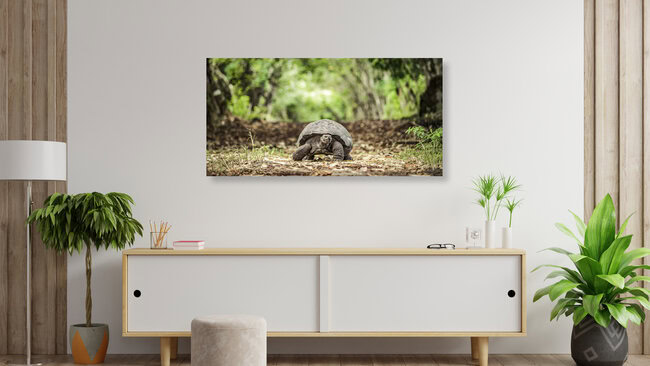 WALK OF LIFE, Ecuador – Fotokunst von Andreas Adams als Poster oder Acrylglasbild