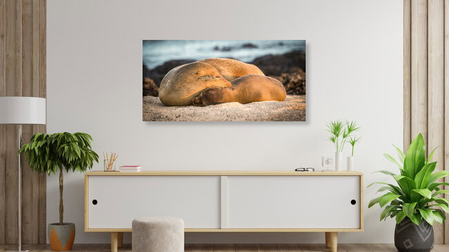 LOVE, Ecuador – Fotokunst von Andreas Adams als Poster oder Acrylglasbild