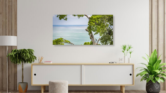 OCEAN TREE, Costa Rica – Fotokunst von Andreas Adams als Poster oder Acrylglasbild