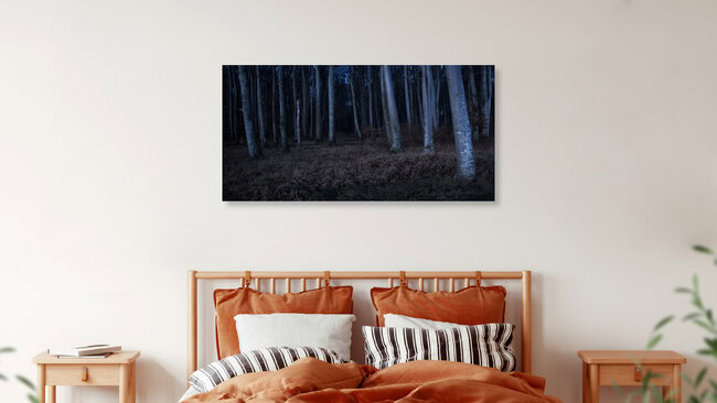 Beech trees, Germany – wall art by Florian Nessler as Poster or Acrylic Glass Print