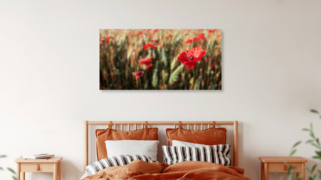 Mohnblume, Deutschland – Fotokunst von Hannes Cmarits als Poster oder Acrylglasbild