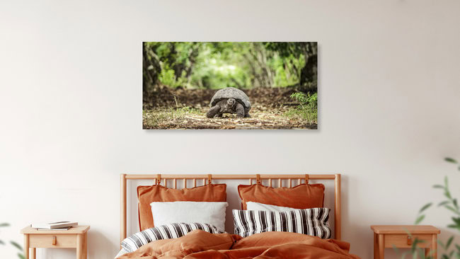 WALK OF LIFE, Ecuador – Fotokunst von Andreas Adams als Poster oder Acrylglasbild