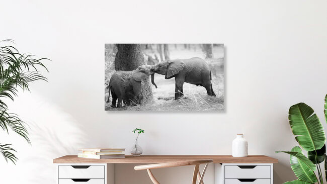 futureforelephants, Sambia – Fotokunst von Dennis Wehrmann als Poster oder Acrylglasbild