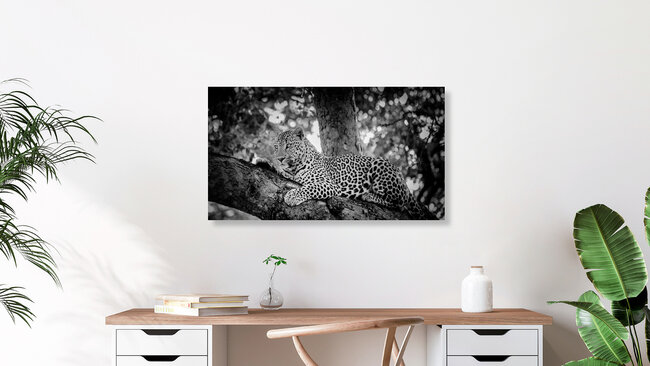 Portrait Leopard, South Africa – wall art by Dennis Wehrmann as Poster or Acrylic Glass Print