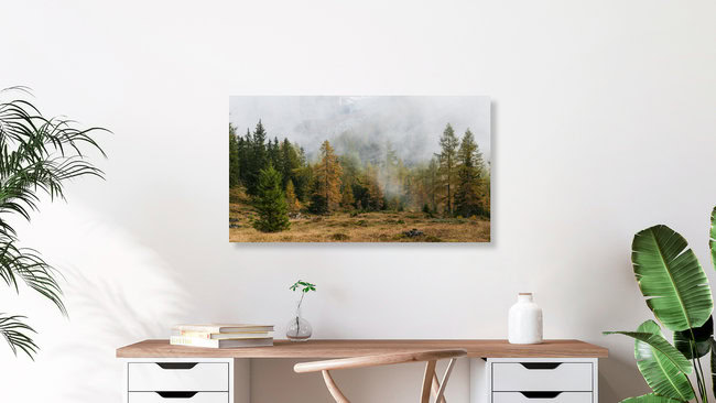 Mystischer Wald, Switzerland – wall art by Rainer Kohlrusch as Poster or Acrylic Glass Print