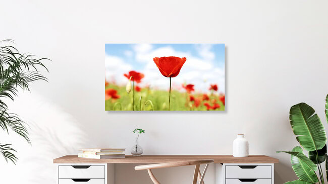 Rote Mohnblumen, Deutschland – Fotokunst von Manuela Deigert als Poster oder Acrylglasbild