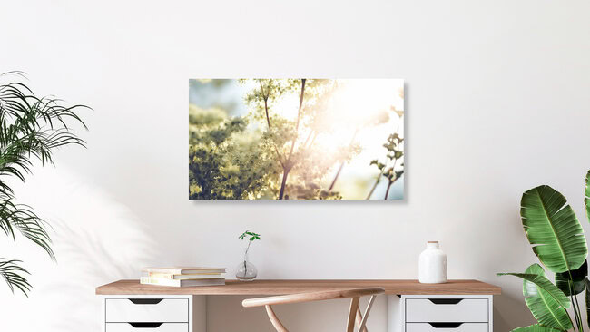 Summertime, Austria – wall art by Torsten Muehlbacher as Poster or Acrylic Glass Print