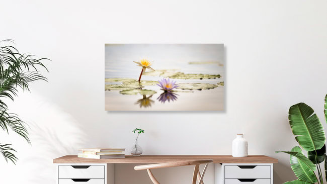 Seerosen Monet, Botswana – Fotokunst von Dennis Wehrmann als Poster oder Acrylglasbild