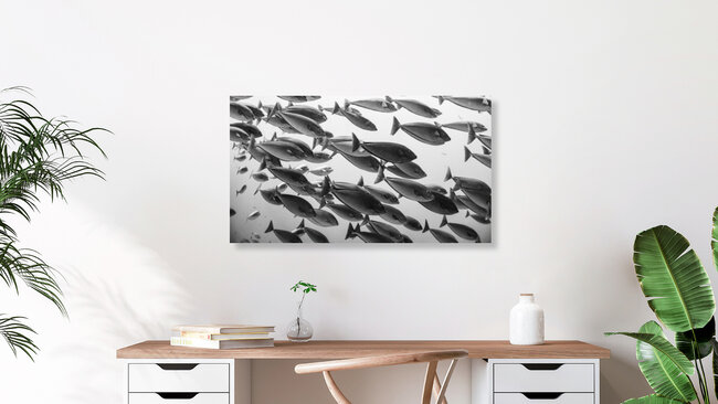 Fischschwarm, Indonesien – Fotokunst von Eva Lorenbeck als Poster oder Acrylglasbild