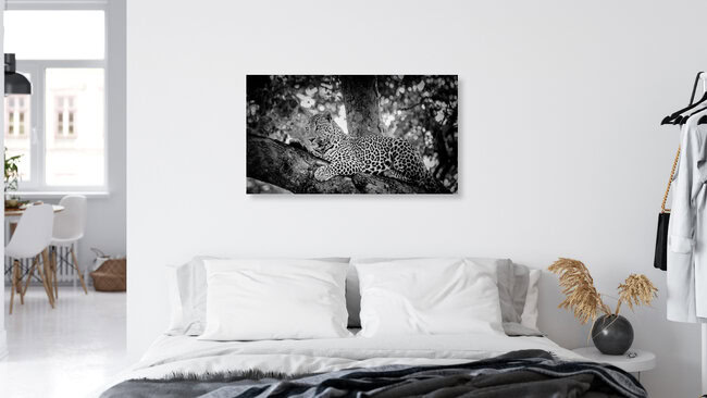 Portrait Leopard, South Africa – wall art by Dennis Wehrmann as Poster or Acrylic Glass Print