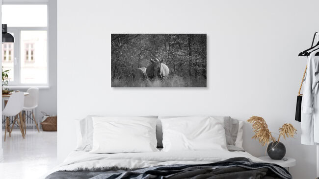 Portrait white rhino, South Africa – wall art by Dennis Wehrmann as Poster or Acrylic Glass Print