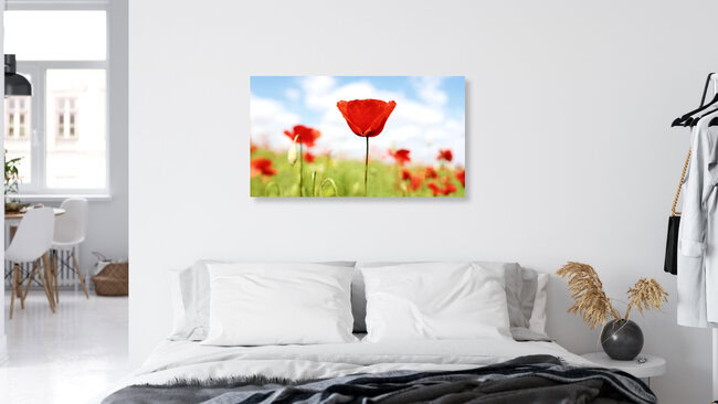 Rote Mohnblumen, Deutschland – Fotokunst von Manuela Deigert als Poster oder Acrylglasbild