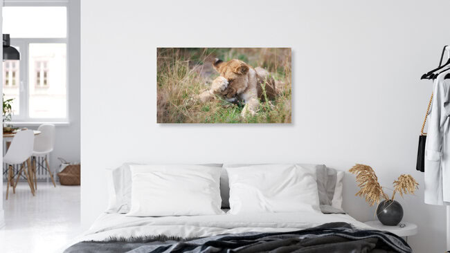 Baby-Löwe, Botswana – Fotokunst von Dennis Wehrmann als Poster oder Acrylglasbild